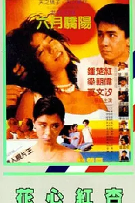 99午夜视频